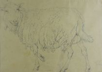 tableau Le mouton Verboechoven Eugne animaux  crayon papier 19e sicle