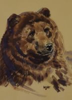 tableau L'ours Geldhoff Herbert animaux  aquarelle papier 2ime moiti 20e sicle