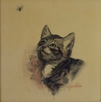 tableau La mouche et le chaton T'felt Julien Ange-Marie animaux  pastel papier 1ère moitié 20e siècle